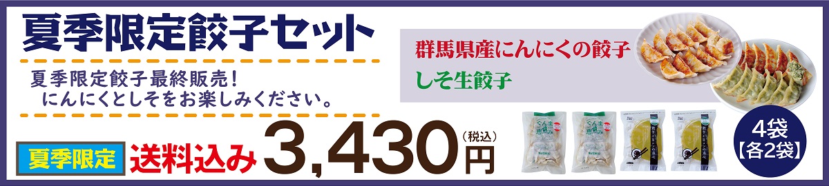 夏季限定 餃子セット