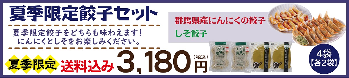 夏季限定 餃子セット